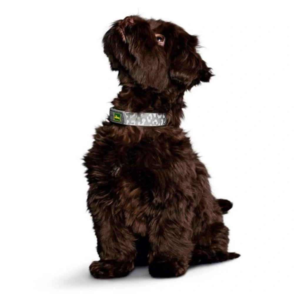 Hunter Convenience Reflect & Glow Dog Collar
